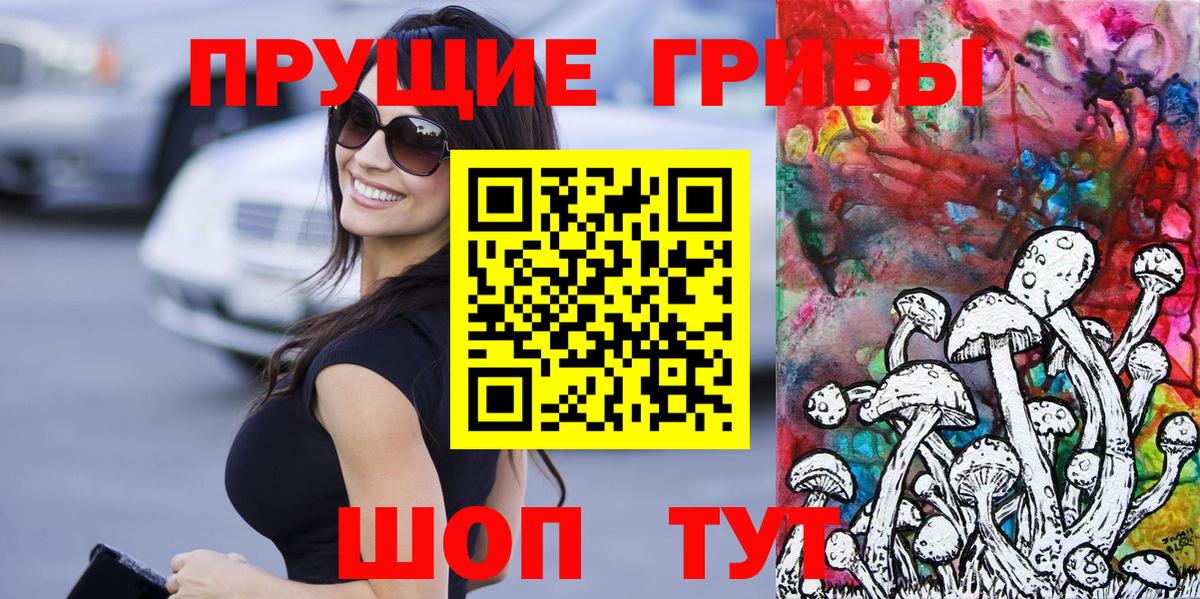 Галлюциногенные грибы Cubensis Богородицк
